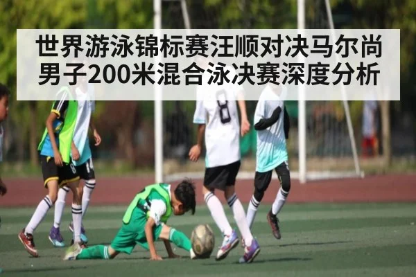 世界游泳锦标赛汪顺对决马尔尚男子200米混合泳决赛深度分析